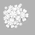 Paper flower. White flowers cut from paper on a gray background, isolated elements of floral design. Greeting card template. Vecto Royalty Free Stock Photo